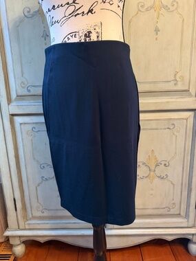 Philosophy Navy Pencil Skirt with Golden Zipper